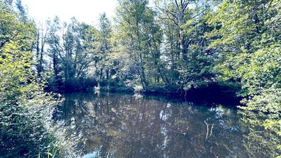 Maison en pierre - 138 m² - 6 pièces