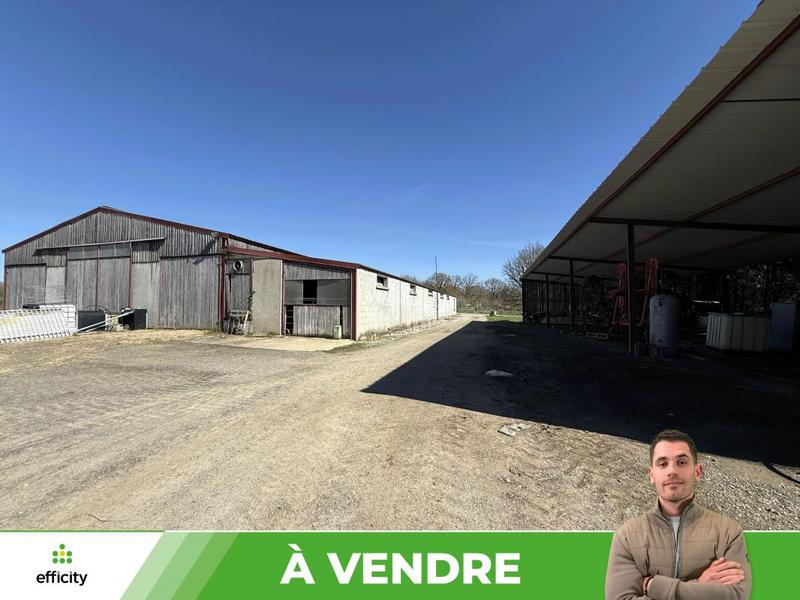 Corps de ferme - 5 549 m² - 10 pièces