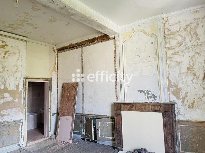 Hôtel particulier - 495 m² - 12 pièces