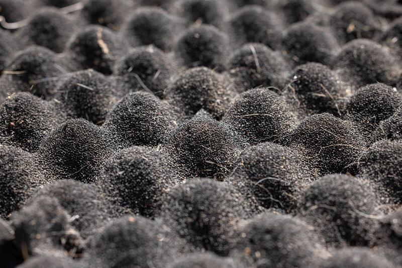 Cycle d'ateliers : rénovation et isolation à base de matériaux bio-sourcés et réemploi