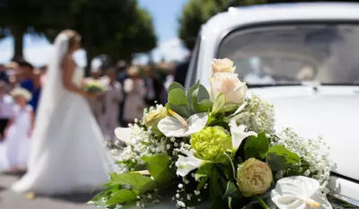 L'Essence des Sèves