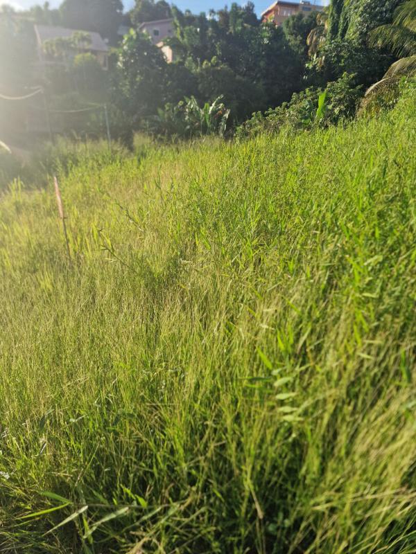 Terrain constructible - 517 m²