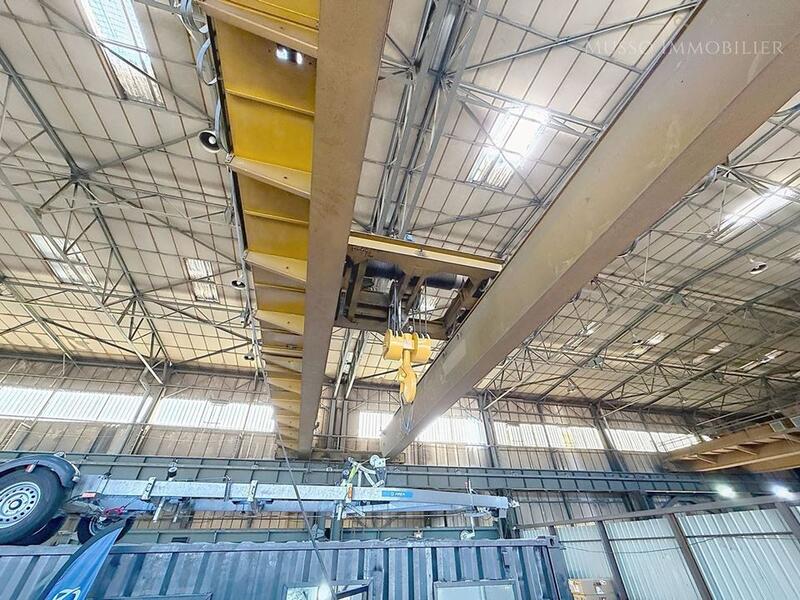 Entrepôt - 800 m² - 5 pièces