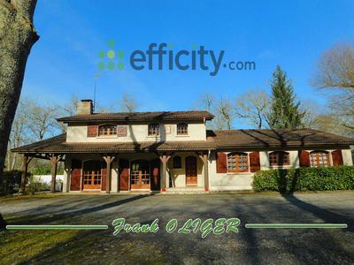 Maison - 300 m² - 11 pièces