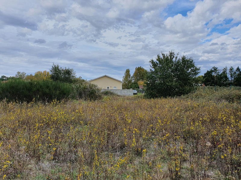 Terrain constructible - 3 352 m²