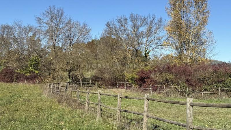 Mas - 210 m² - 6 pièces