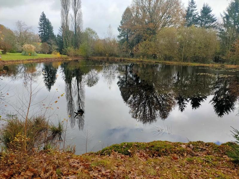 Villa - 270 m² - 5 pièces