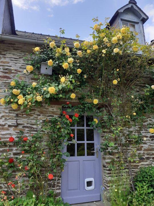 Maison en pierre - 160 m² - 7 pièces