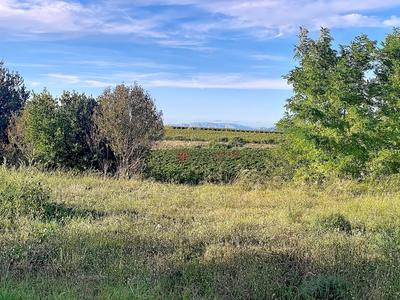 Terrain constructible - 886 m²