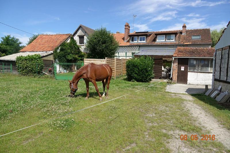 Terrain - 170 000 m²