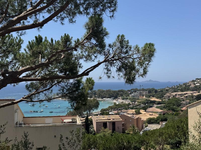 Appartement - 27 m² - 1 pièce