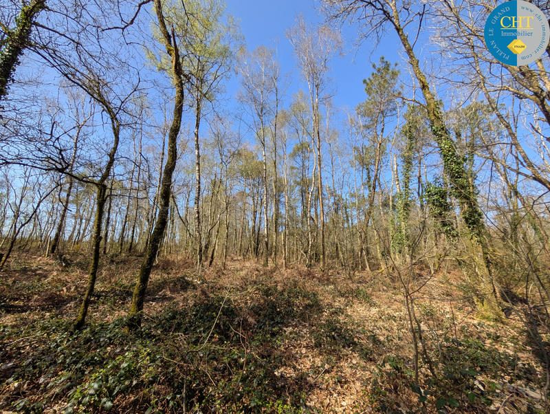 Terrain - 24 900 m²