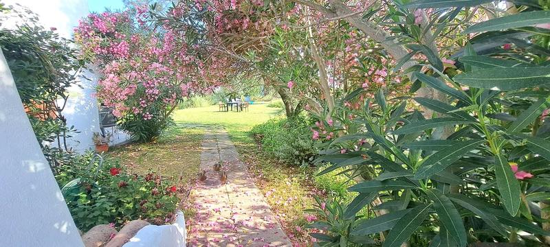 Propriété - 270 m² - 12 pièces