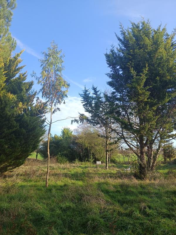 Printemps en Charente, stage de piano 3 jours intensifs