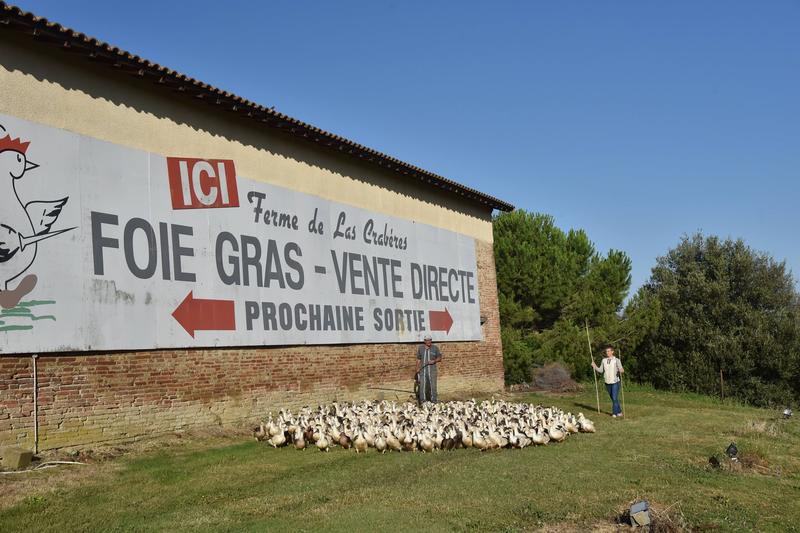 La Ferme de Las Crabères
