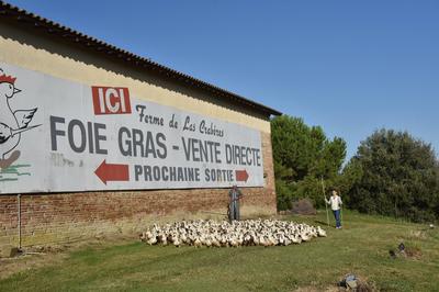 La Ferme de Las Crabères