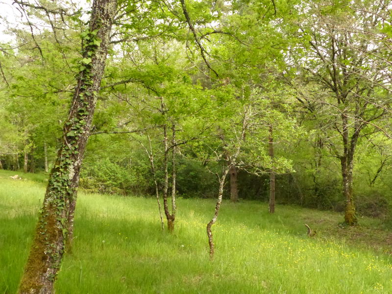 Arborea - Camping chez l'habitant