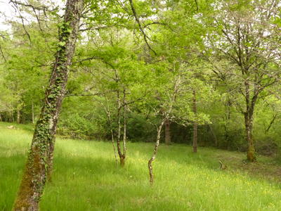 Arborea - Camping chez l'habitant