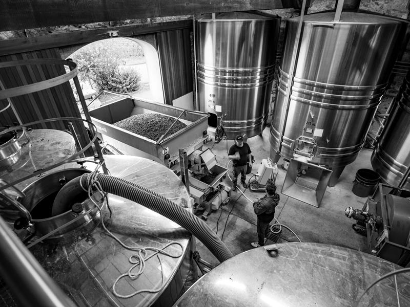 Tour du domaine et dégustation au Domaine du Grand Mayne