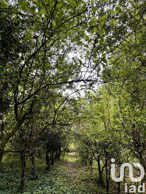 Maison - 63 m² - 1 pièce