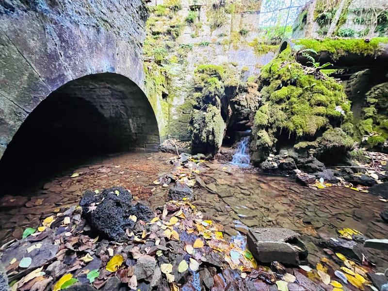 Maison - 359 m² - 4 pièces