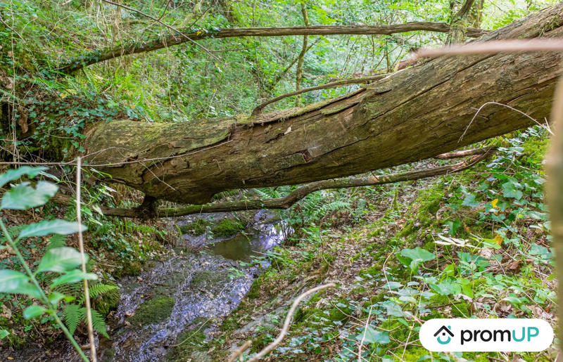 Terrain de loisirs - 5 300 m²