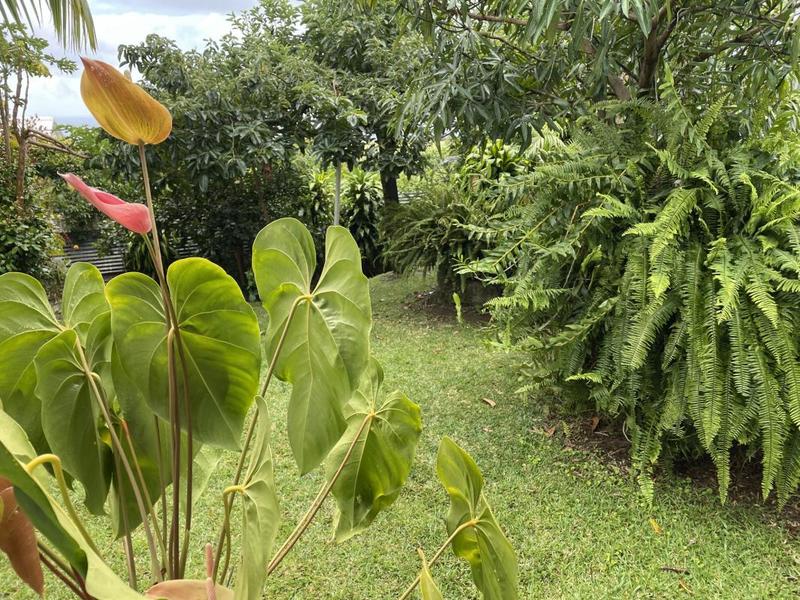 Maison - 74 m² - 4 pièces