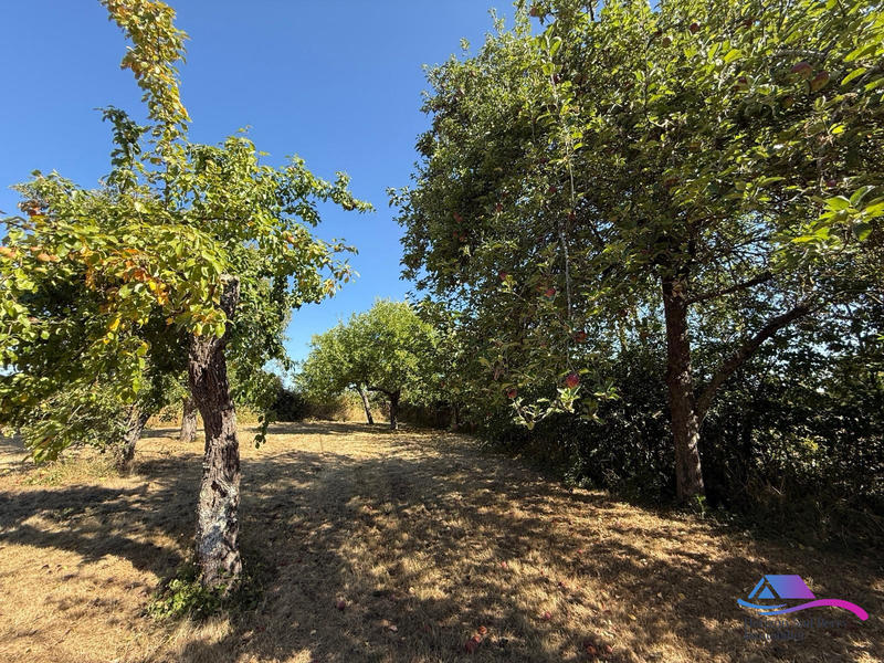 Maison - 50 m² - 2 pièces