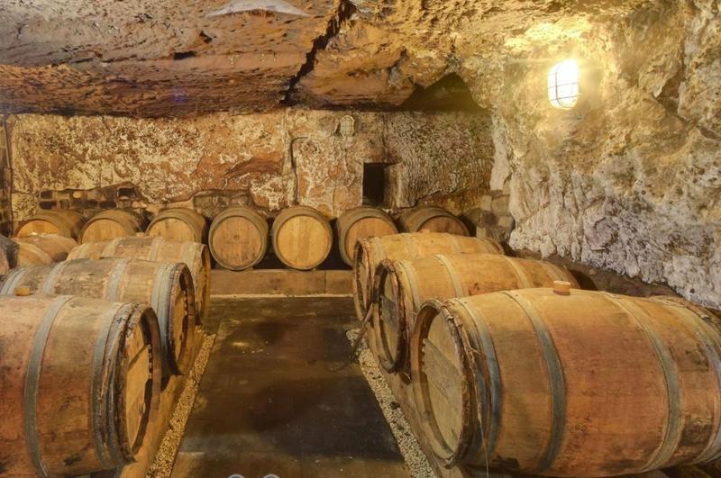 Manoir - 980 m² - 12 pièces