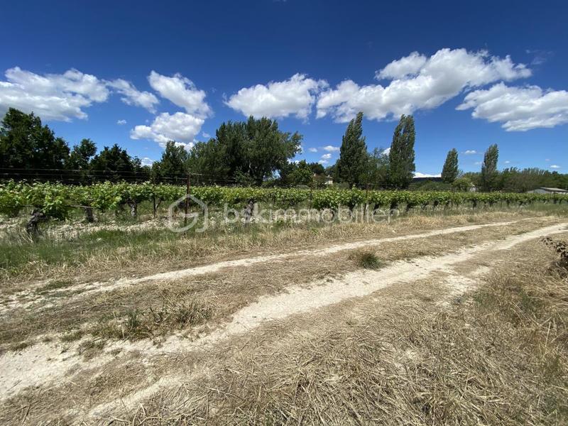 Terrain agricole - 30 000 m²