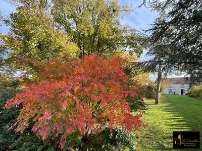 Maison ancienne - 170 m² - 3 pièces