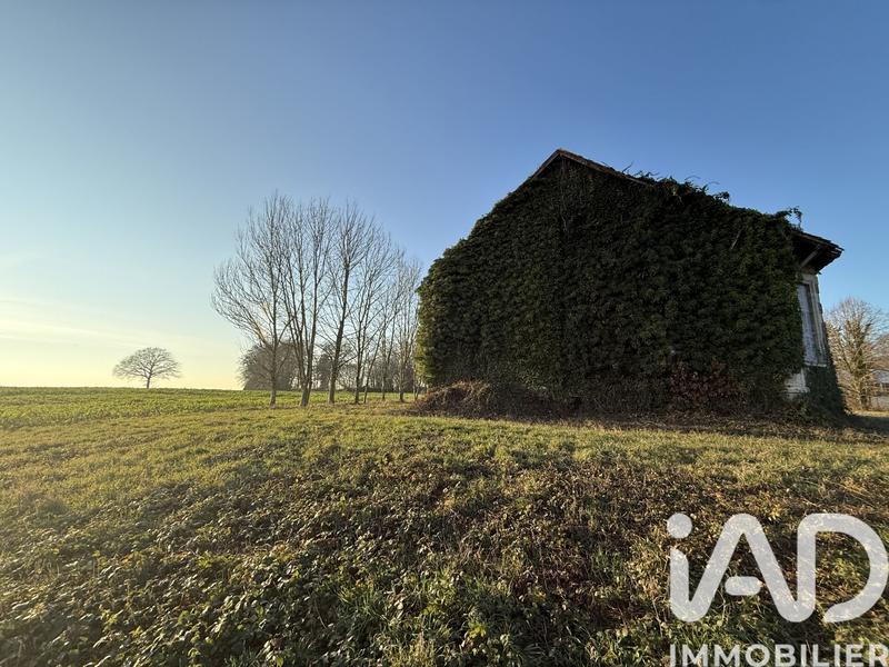 Maison - 300 m² - 10 pièces