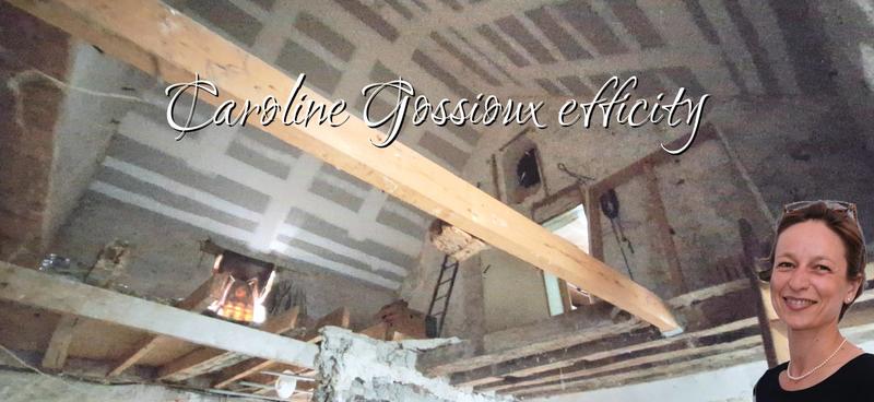 Maison de village - 53 m² - 3 pièces