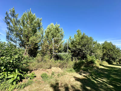Terrain - 2 374 m²