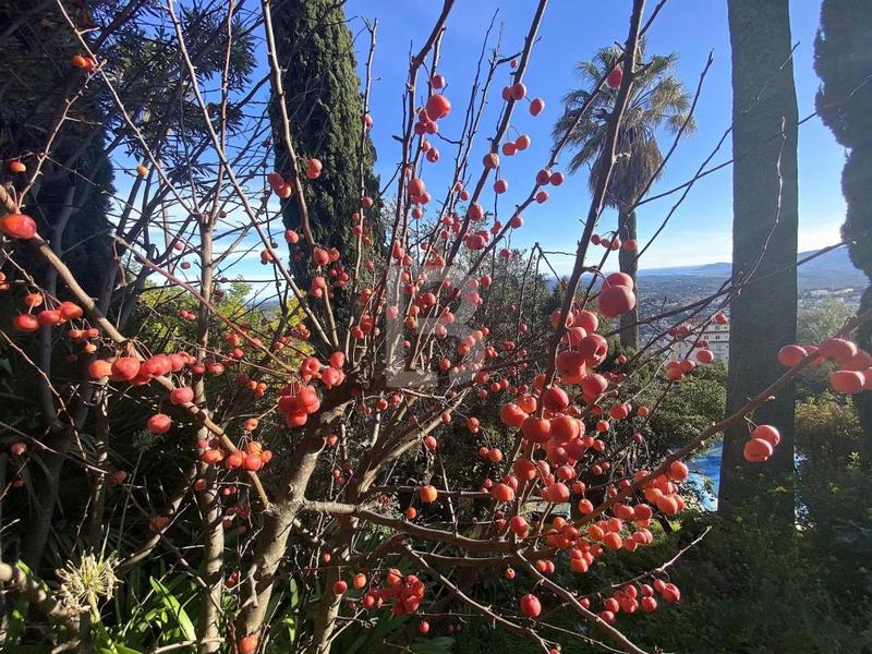 Maison - 322 m² - 10 pièces