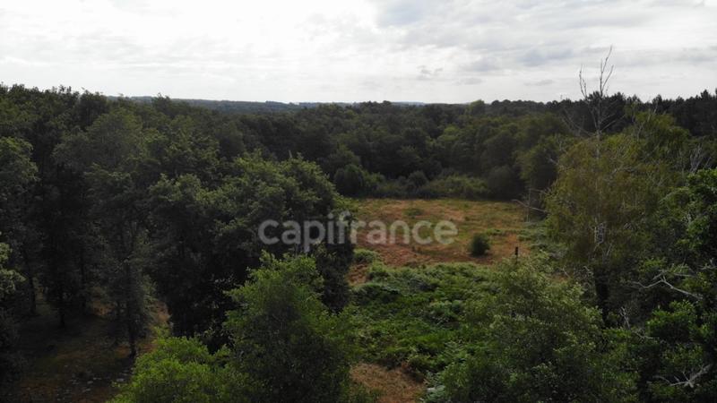 Maison de campagne - 110 m² - 5 pièces