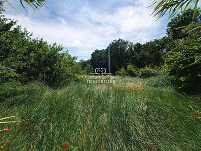 Terrain agricole - 2 365 m²