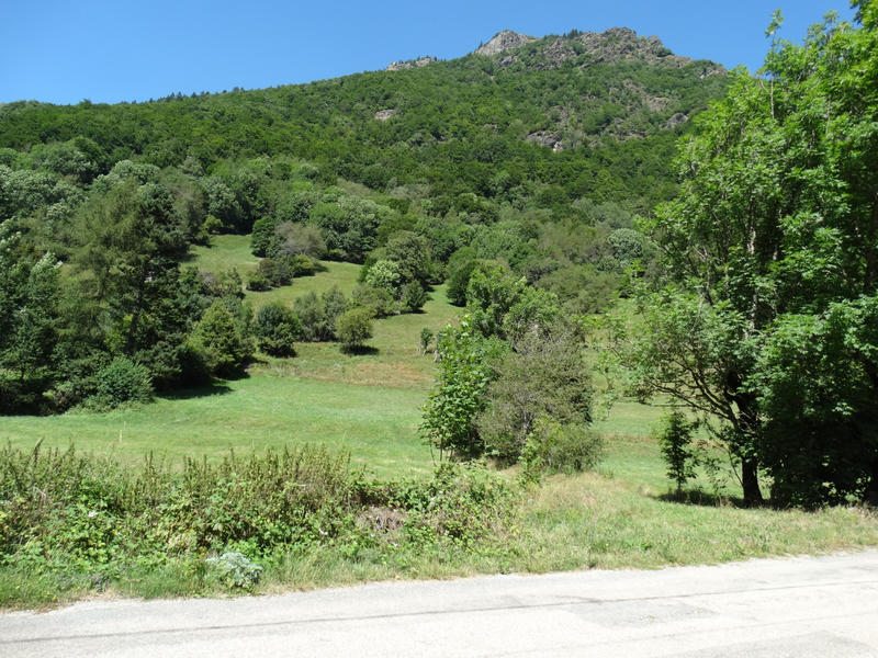 Local commercial - 1 514 m²