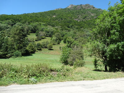 Local commercial - 1 514 m²