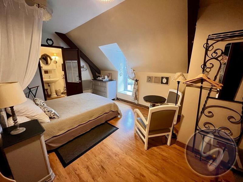 Moulin - 616 m² - 19 pièces