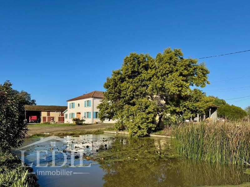 Propriété - 310 m² - 9 pièces