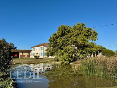 Propriété - 310 m² - 9 pièces