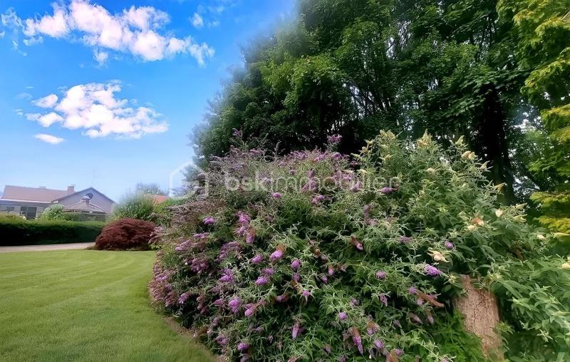 Propriété - 200 m² - 7 pièces