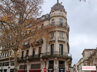 Bureau - 240 m² - 12 pièces