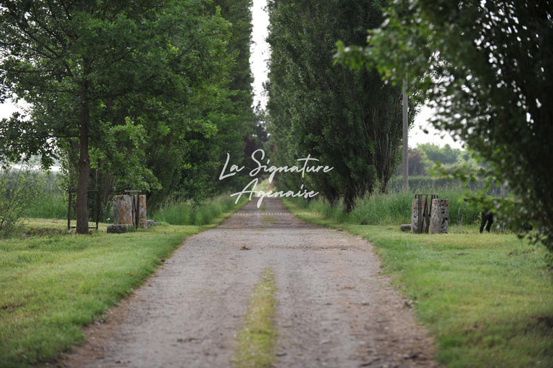 Maison - 341 m² - 16 pièces