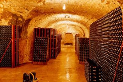 Domaine Champagne J.L. Vergnon