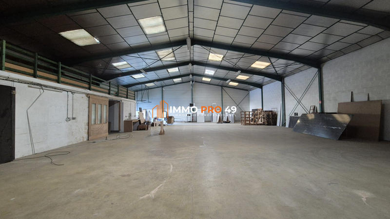 Local d'activités - 780 m²