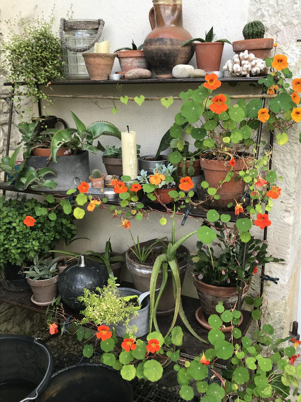 Maison traditionnelle - 200 m² - 6 pièces