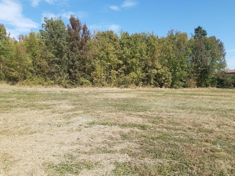 Terrain constructible - 8 711 m²