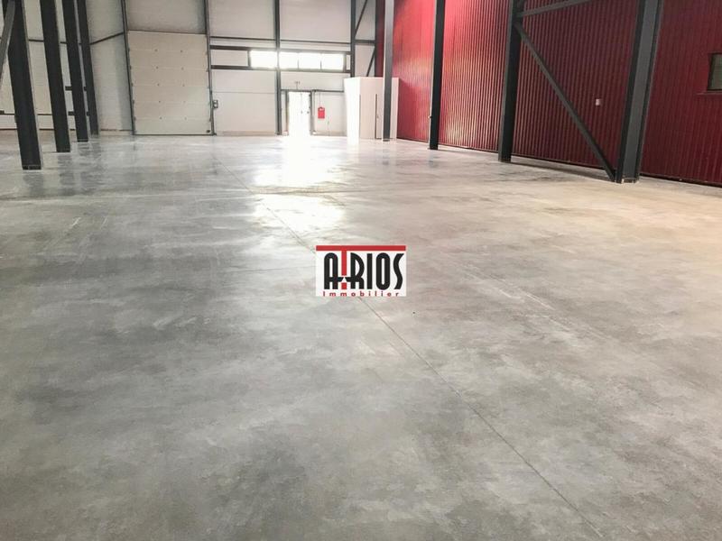 Entrepôt - 1 557 m²